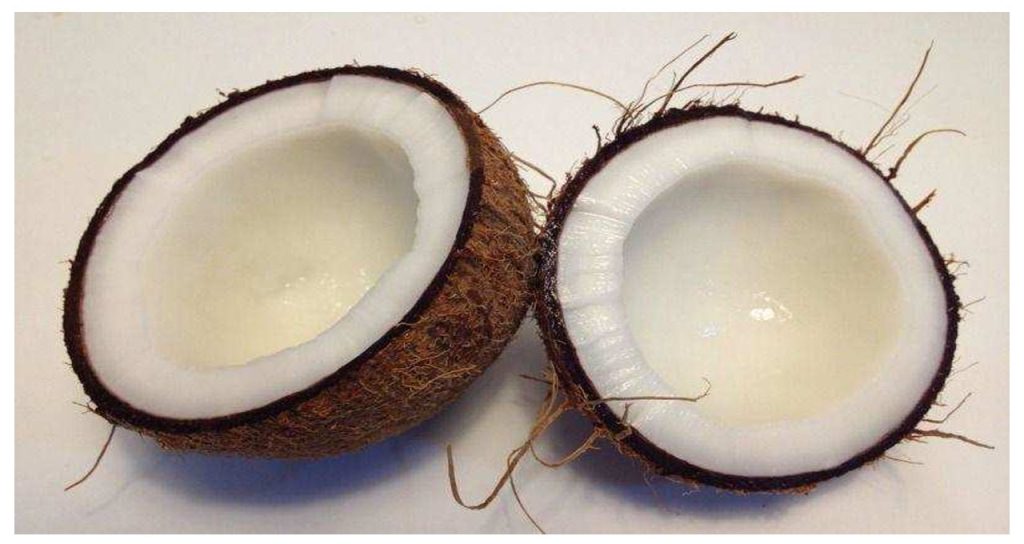 Coconuts
